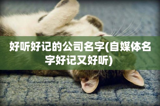 好聽好記的公司名字(自媒體名字好記又好聽) 
