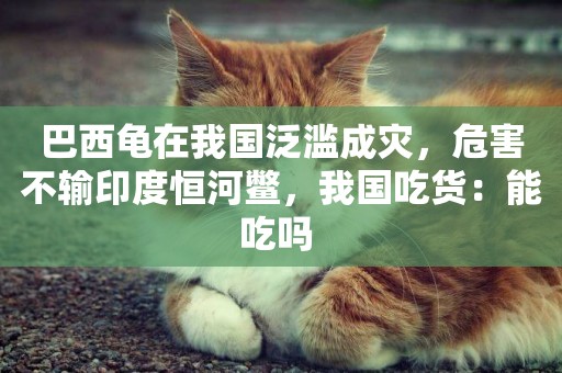巴西龜在我國泛濫成災，危害不輸印度恒河鱉，我國吃貨：能吃嗎 