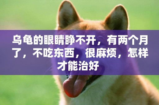 烏龜的眼睛睜不開，有兩個月了，不吃東西，很麻煩，怎樣才能治好 