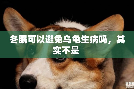 冬眠可以避免烏龜生病嗎，其實不是 