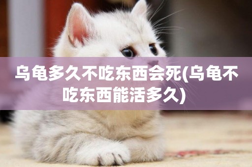烏龜多久不吃東西會死(烏龜不吃東西能活多久) 