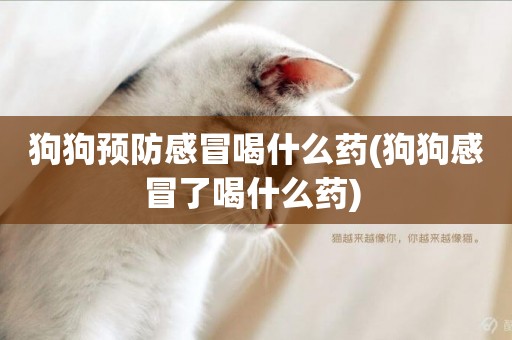 狗狗預防感冒喝什么藥(狗狗感冒了喝什么藥) 