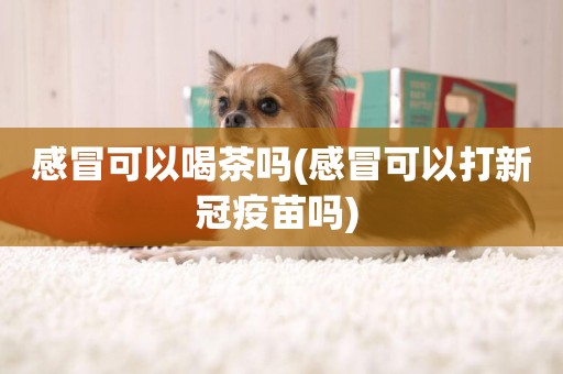 感冒可以喝茶嗎(感冒可以打新冠疫苗嗎) 