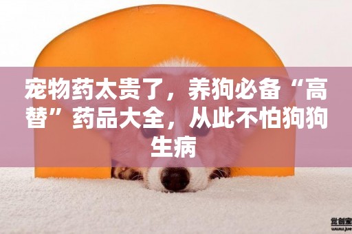 寵物藥太貴了，養狗必備“高替”藥品大全，從此不怕狗狗生病 