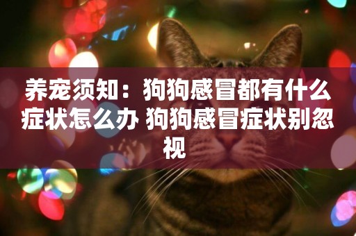 養寵須知：狗狗感冒都有什么癥狀怎么辦 狗狗感冒癥狀別忽視 