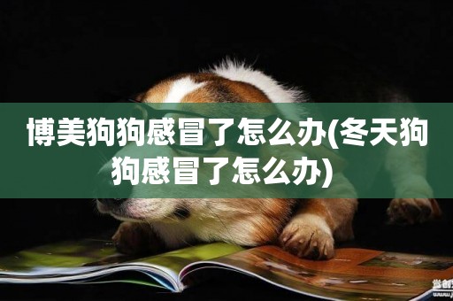 博美狗狗感冒了怎么辦(冬天狗狗感冒了怎么辦) 