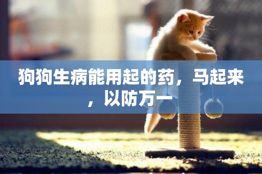 狗狗生病能用起的藥，馬起來，以防萬一 