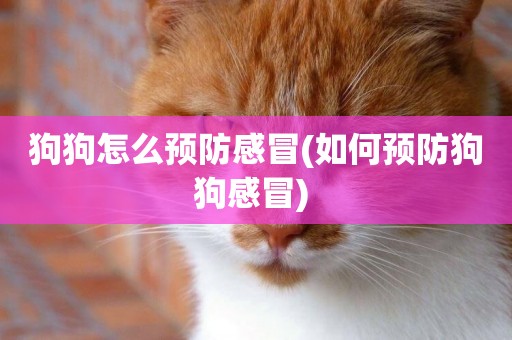 狗狗怎么預防感冒(如何預防狗狗感冒) 