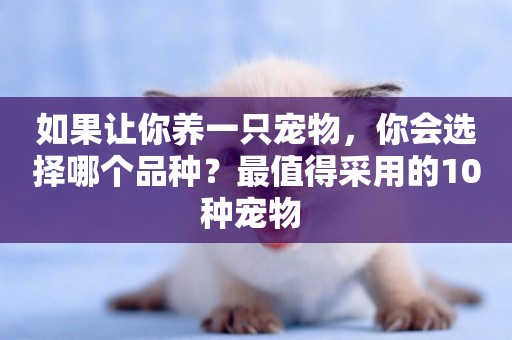 如果讓你養一只寵物，你會選擇哪個品種？最值得采用的10種寵物 