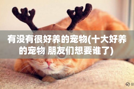 有沒有很好養的寵物(十大好養的寵物 朋友們想要誰了) 