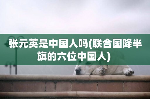 張元英是中國人嗎(聯合國降半旗的六位中國人) 
