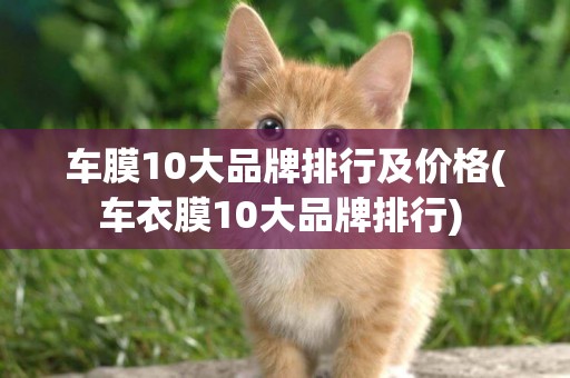 車膜10大品牌排行及價格(車衣膜10大品牌排行) 