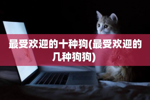 最受歡迎的十種狗(最受歡迎的幾種狗狗) 