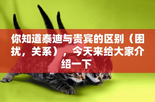 你知道泰迪與貴賓的區別（困擾，關系），今天來給大家介紹一下 