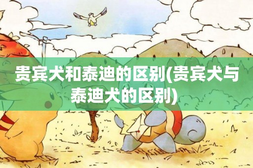 貴賓犬和泰迪的區別(貴賓犬與泰迪犬的區別) 