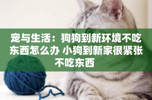 寵與生活：狗狗到新環境不吃東西怎么辦 小狗到新家很緊張不吃東西 