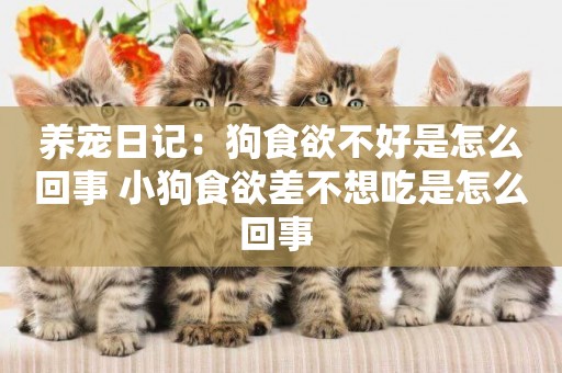 養寵日記：狗食欲不好是怎么回事 小狗食欲差不想吃是怎么回事 
