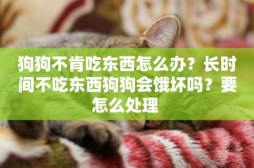 狗狗不肯吃東西怎么辦？長時間不吃東西狗狗會餓壞嗎？要怎么處理 