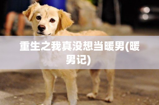 重生之我真沒想當暖男(暖男記) 