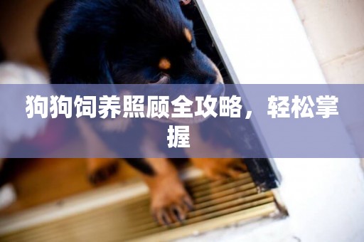 狗狗飼養照顧全攻略，輕松掌握 