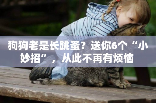 狗狗老是長跳蚤？送你6個“小妙招”，從此不再有煩惱 