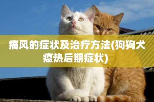 痛風的癥狀及治療方法(狗狗犬瘟熱后期癥狀) 
