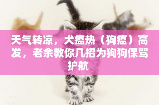 天氣轉涼，犬瘟熱（狗瘟）高發，老余教你幾招為狗狗保駕護航 