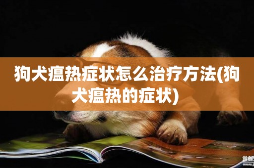 狗犬瘟熱癥狀怎么治療方法(狗犬瘟熱的癥狀) 