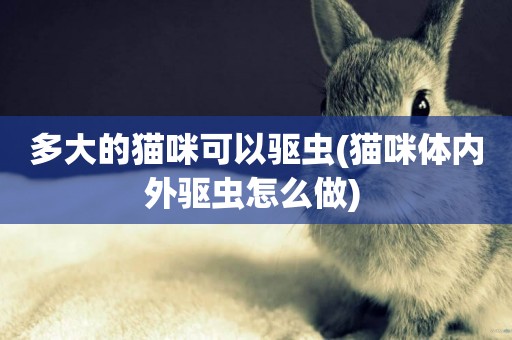多大的貓咪可以驅蟲(貓咪體內外驅蟲怎么做) 