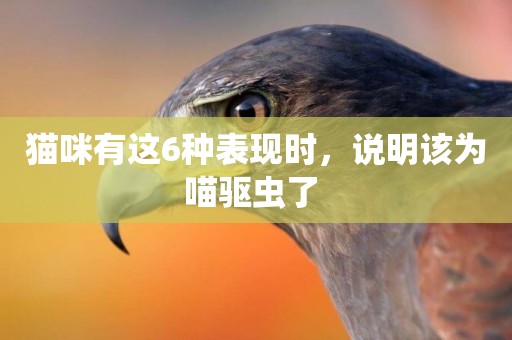 貓咪有這6種表現時，說明該為喵驅蟲了 