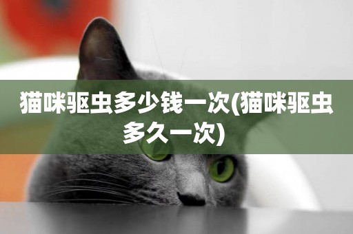 貓咪驅蟲多少錢一次(貓咪驅蟲多久一次) 