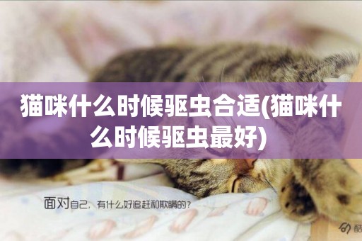 貓咪什么時候驅蟲合適(貓咪什么時候驅蟲最好) 