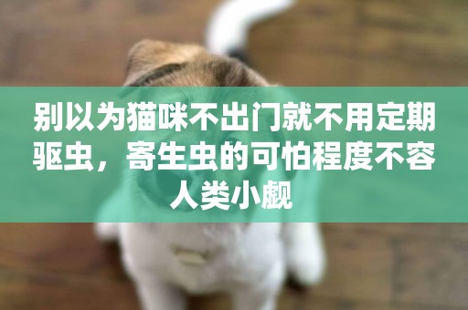 別以為貓咪不出門就不用定期驅蟲，寄生蟲的可怕程度不容人類小覷 