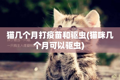 貓幾個月打疫苗和驅蟲(貓咪幾個月可以驅蟲) 
