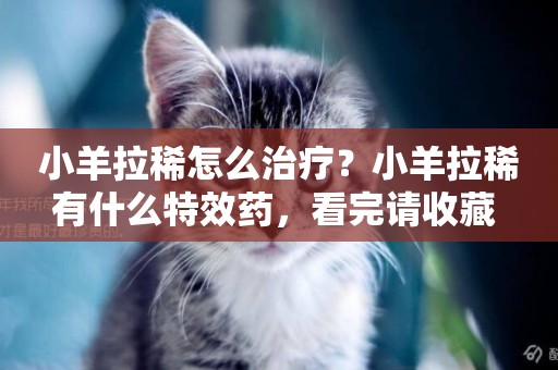 小羊拉稀怎么治療？小羊拉稀有什么特效藥，看完請收藏 