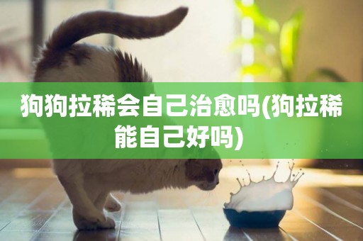 狗狗拉稀會自己治愈嗎(狗拉稀能自己好嗎) 