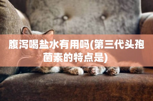 腹瀉喝鹽水有用嗎(第三代頭孢菌素的特點是) 