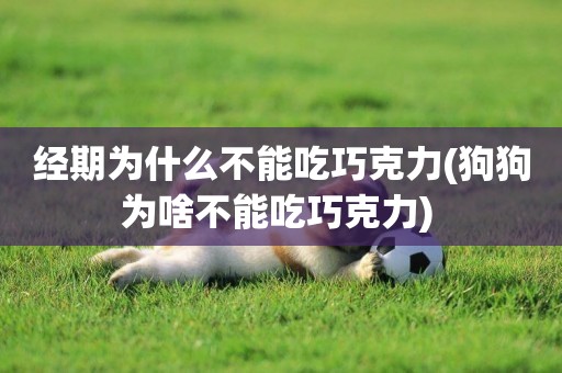 經期為什么不能吃巧克力(狗狗為啥不能吃巧克力) 