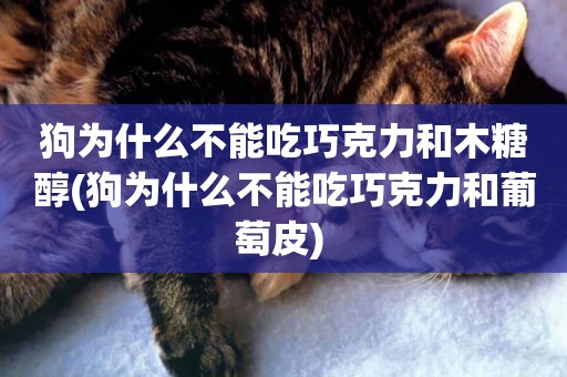 狗為什么不能吃巧克力和木糖醇(狗為什么不能吃巧克力和葡萄皮) 
