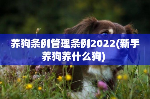 養狗條例管理條例2022(新手養狗養什么狗) 