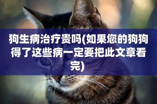 狗生病治療貴嗎(如果您的狗狗得了這些病一定要把此文章看完) 