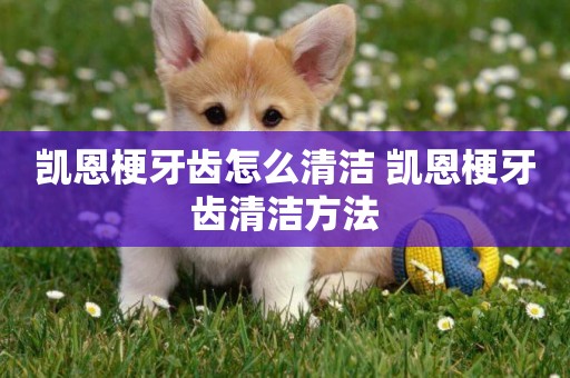 凱恩梗牙齒怎么清潔 凱恩梗牙齒清潔方法