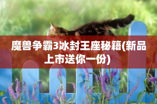 魔獸爭霸3冰封王座秘籍(新品上市送你一份) 