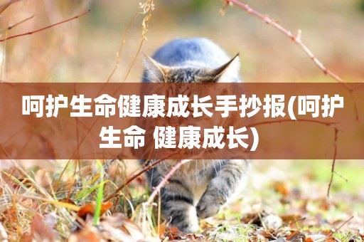 呵護生命健康成長手抄報(呵護生命 健康成長) 