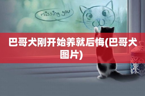 巴哥犬剛開始養就后悔(巴哥犬圖片) 