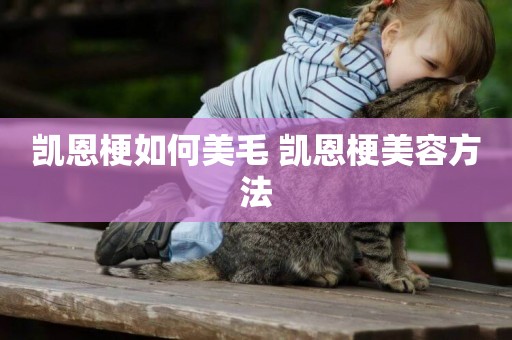 凱恩梗如何美毛 凱恩梗美容方法