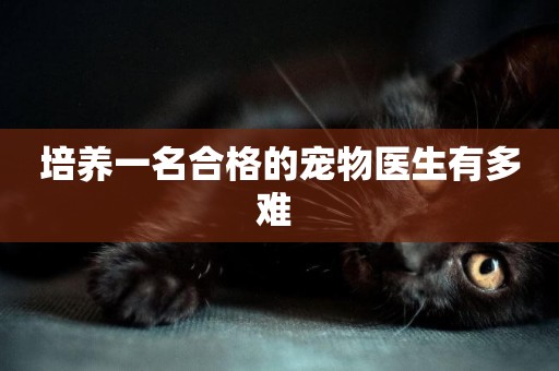 培養一名合格的寵物醫生有多難 
