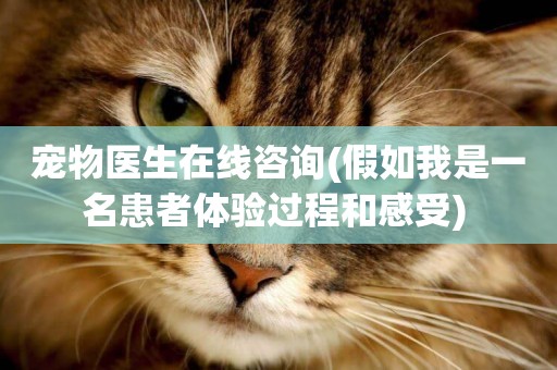 寵物醫生在線咨詢(假如我是一名患者體驗過程和感受) 