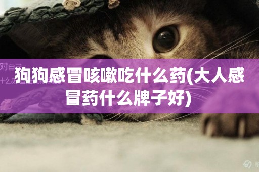 狗狗感冒咳嗽吃什么藥(大人感冒藥什么牌子好) 