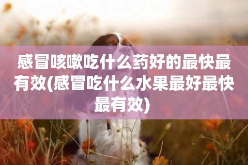感冒咳嗽吃什么藥好的最快最有效(感冒吃什么水果最好最快最有效) 